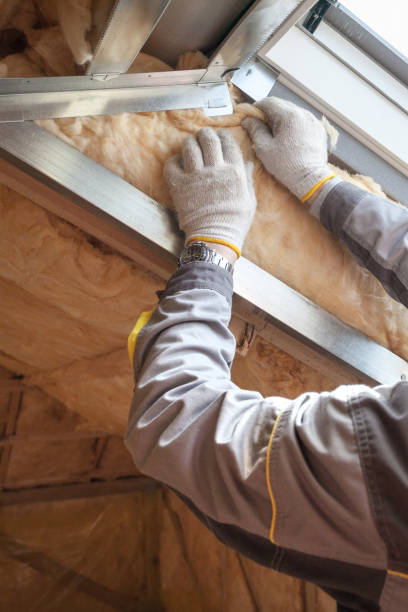 Best Garage Insulation Installation  in Caney, KS